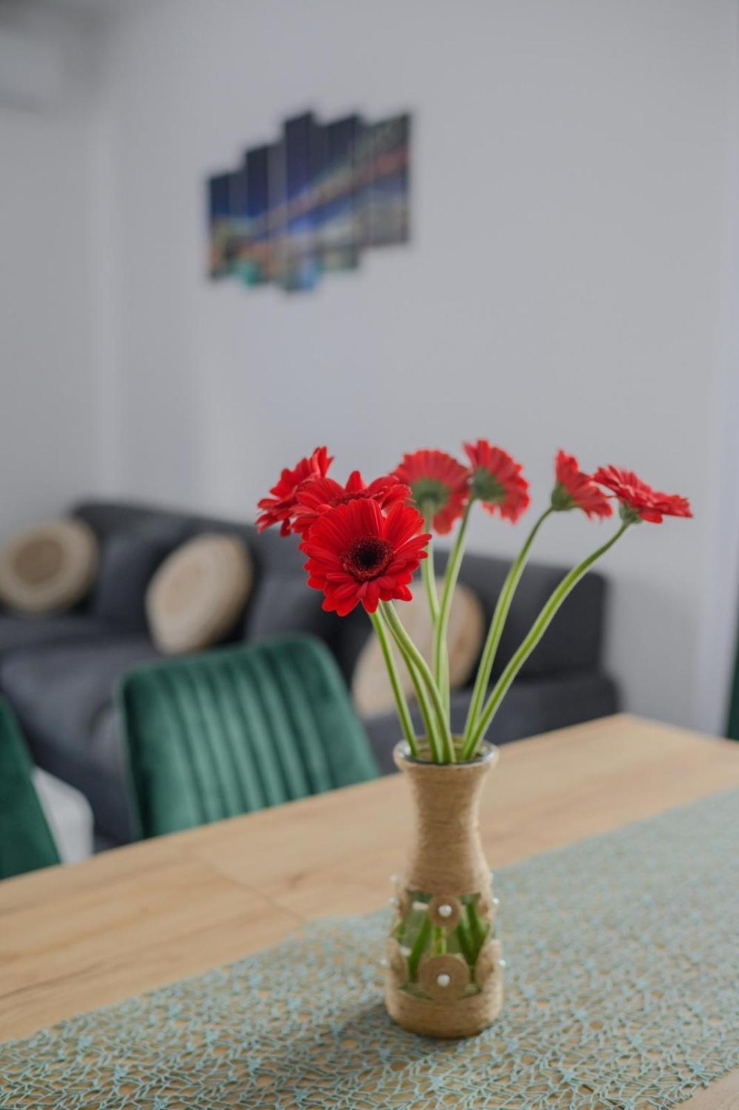 Apartament Radiana Băile Felix Zewnętrze zdjęcie